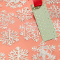 Preview: Geschenkanhänger grün mit Heißfolienprägung in grün Merry Christmas und Punkte
